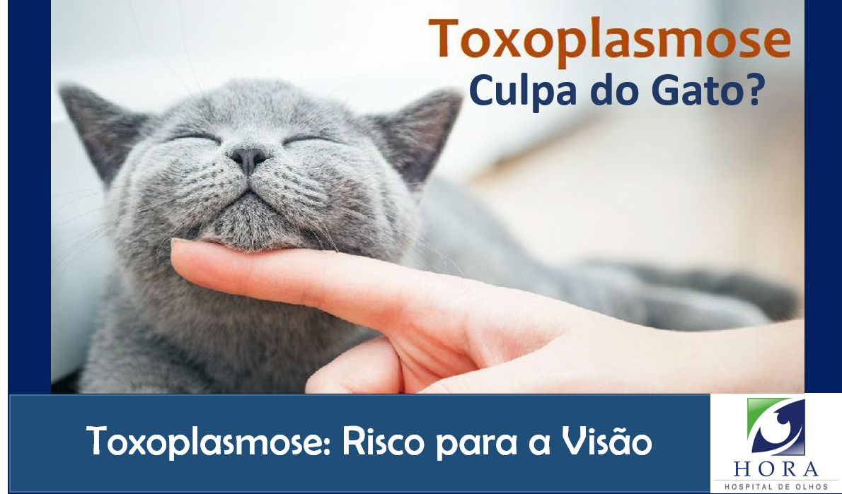 Toxoplasmose:Culpa do Gato?